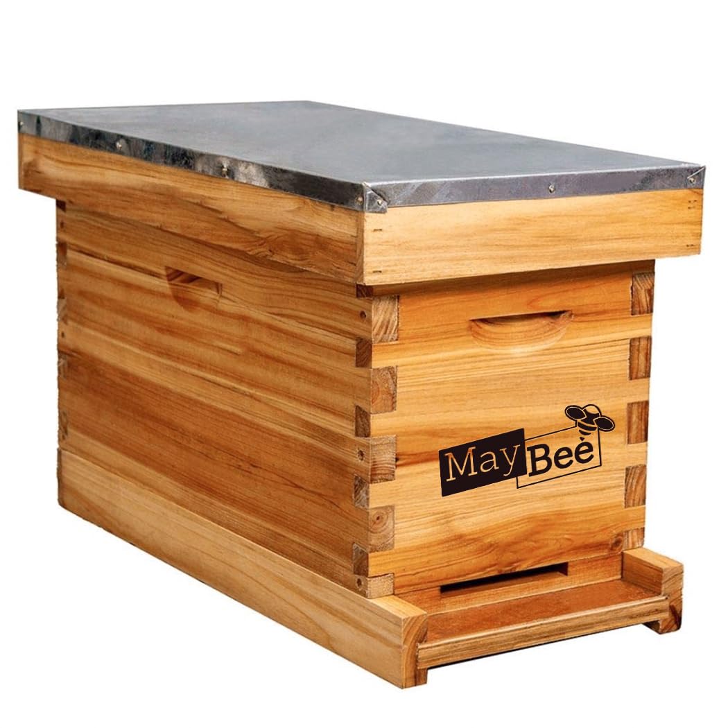 MayBee front view of wax-dipped nuc box showing durable construction and quick setup