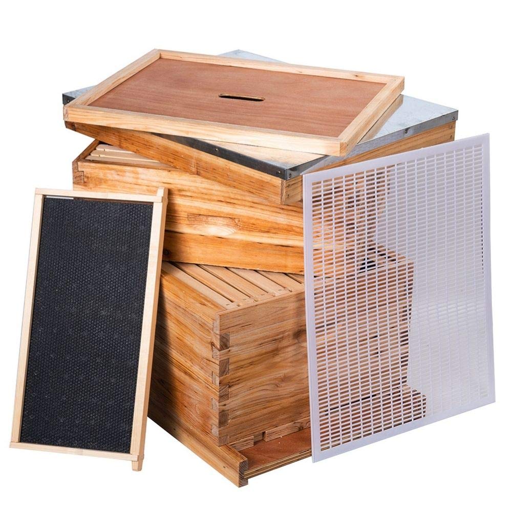 MayBee hive beside a ruler showing dimensions and scale to visualize backyard placement