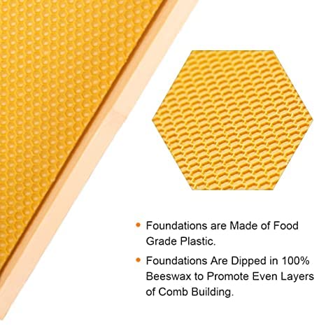 MayBee in-hive usage setup illustrating easy integration and assembly