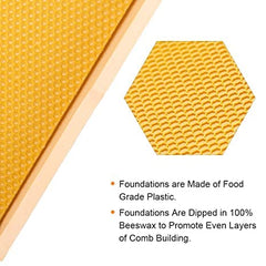MayBee in-hive usage setup illustrating easy integration and assembly