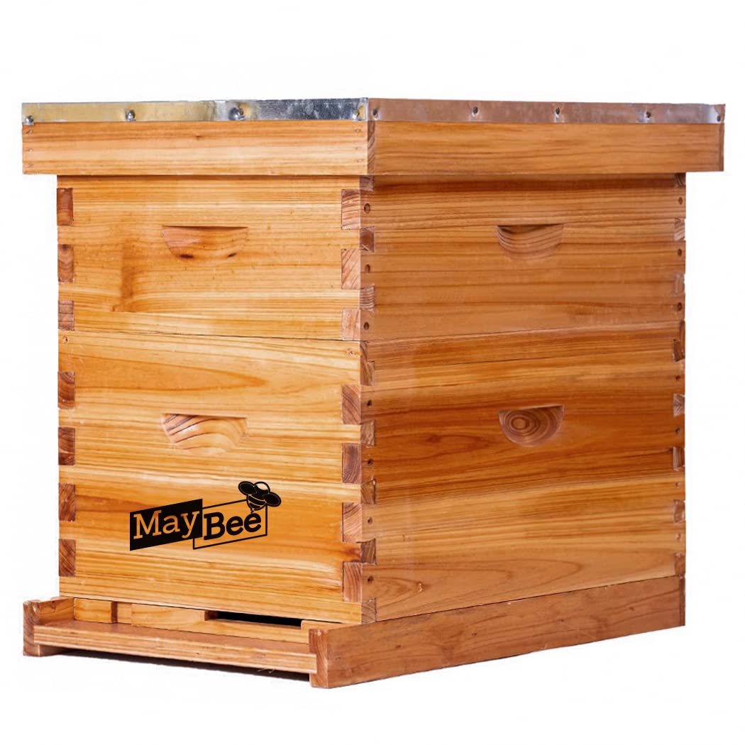 MayBee hive staged in a backyard garden showing practical placement and beekeeper-friendly design