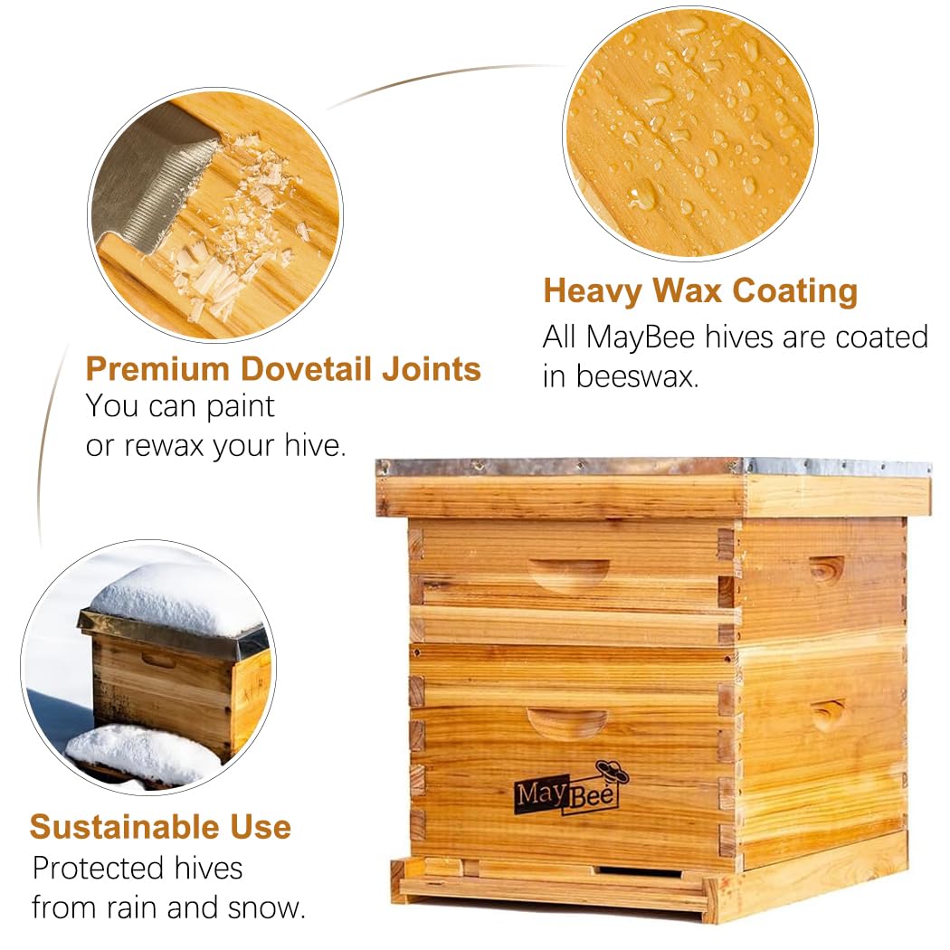 MayBee medium super with frames installed highlighting additional honey storage capacity