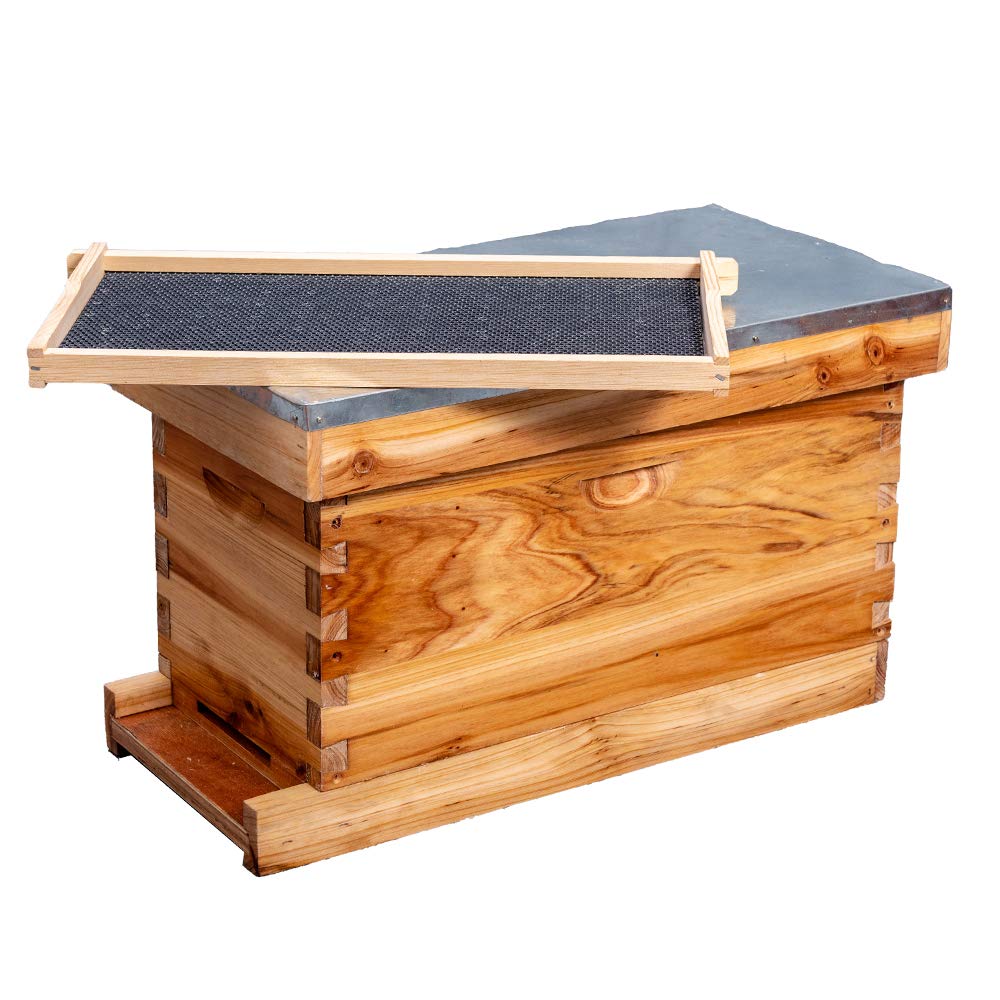 MayBee nuc box placed in garden environment illustrating portability and apiary integration