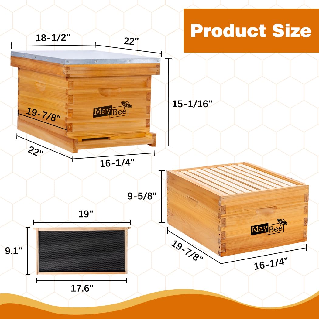 MayBee hive next to ruler for scale showing deep brood box dimensions