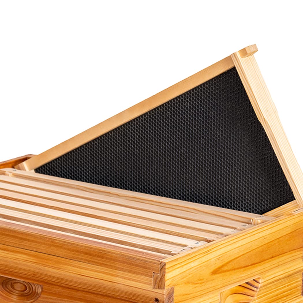 MayBee frames next to a ruler showing standard 9-1-8 dimensions and accurate compatibility benefit
