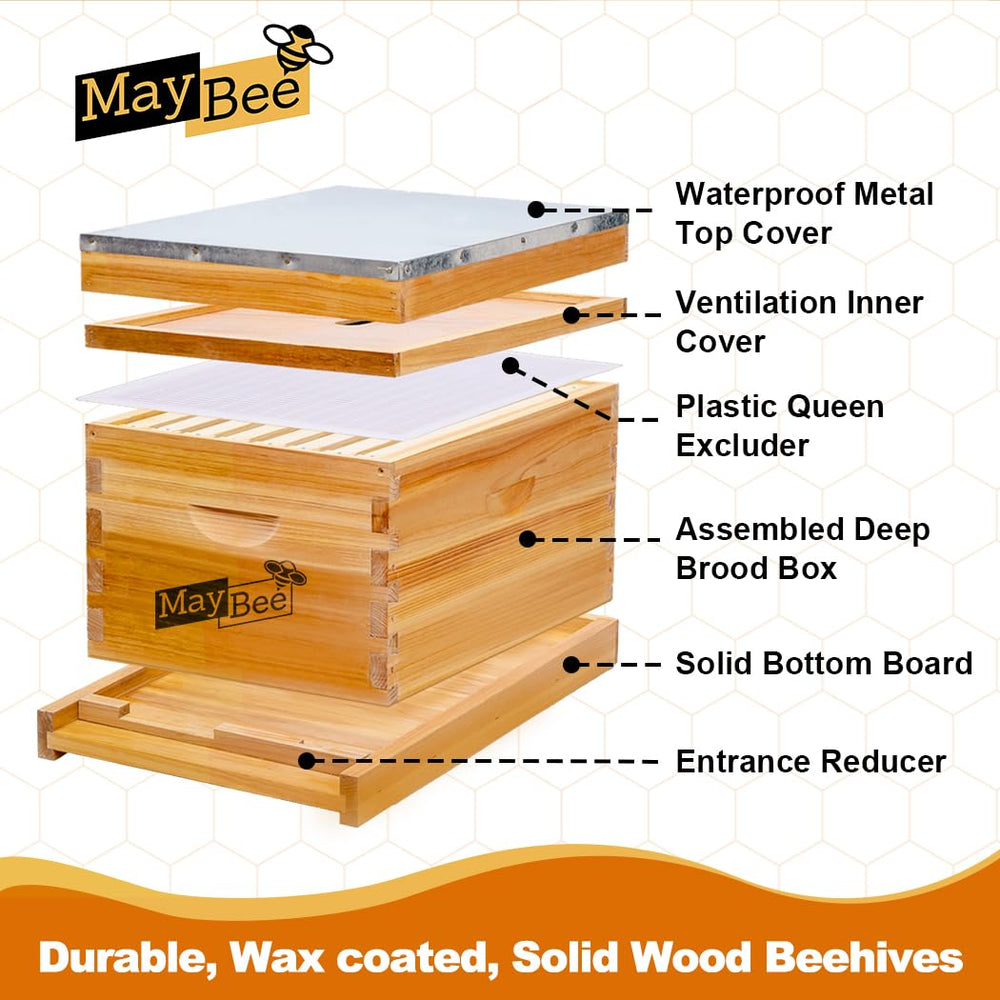 MayBee black food-grade plastic foundations wax-dipped for hygiene