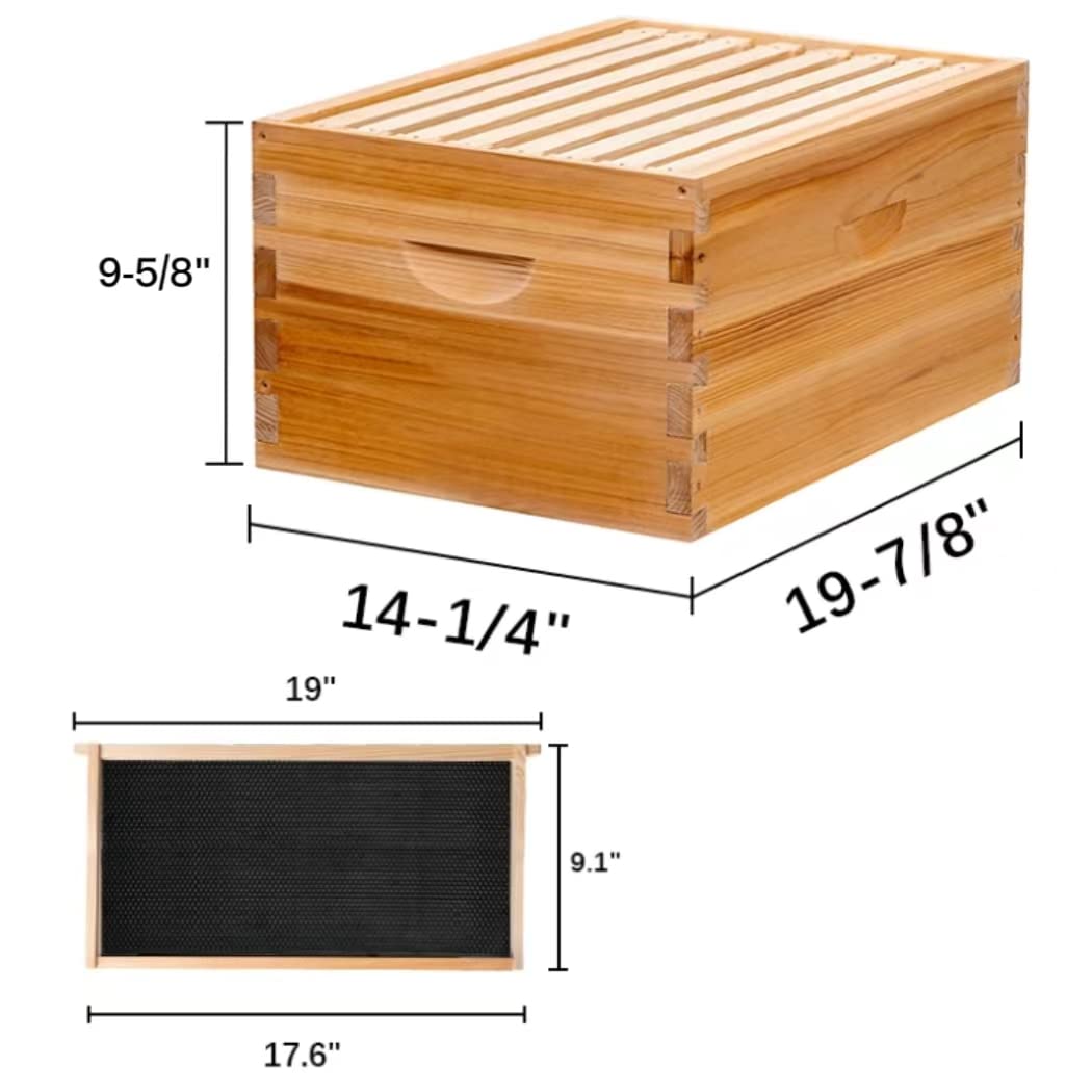 MayBee wax-dipped black plastic foundation detail aiding fast comb building