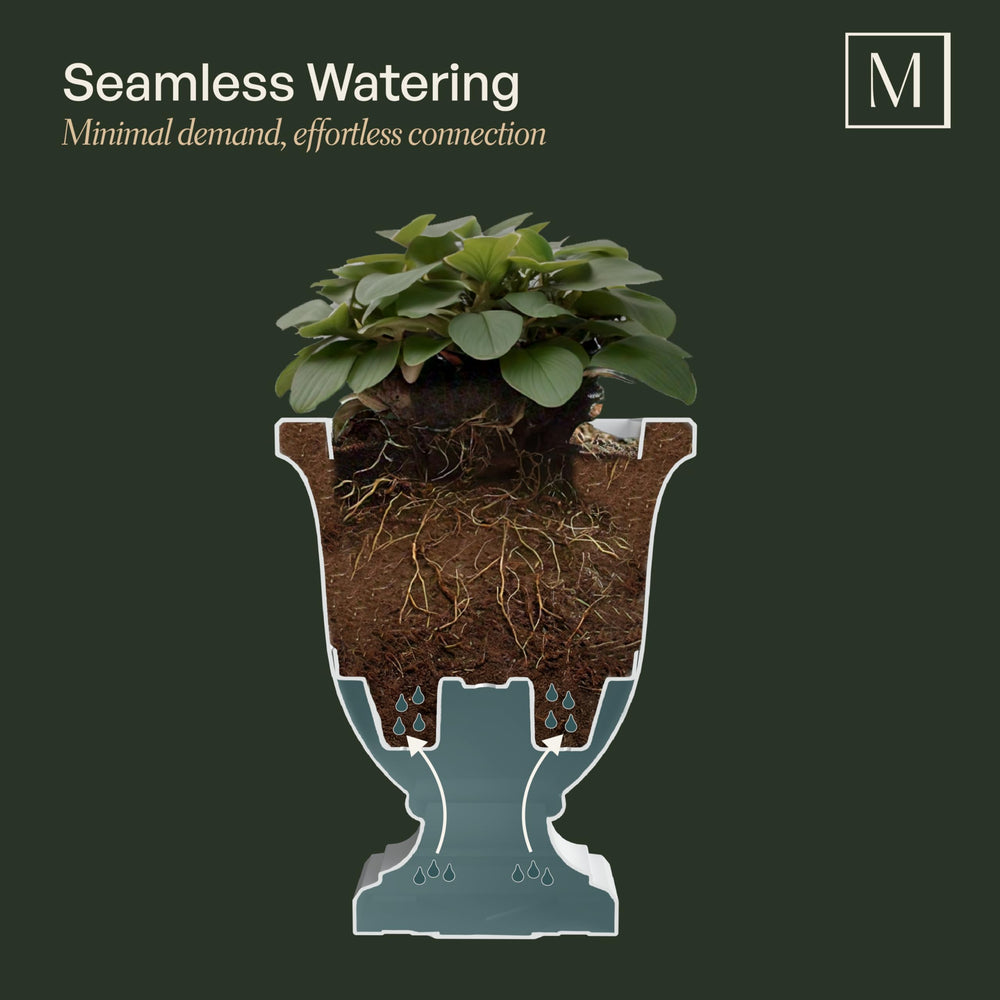 Mayne Augusta planted on porch showcasing how the planter enhances entryway style