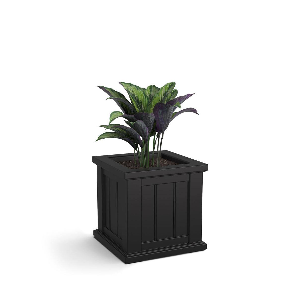 Mayne Cape Cod planter front view showing classic beadboard and curb appeal