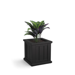Mayne Cape Cod planter front view showing classic beadboard and curb appeal