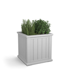 Mayne Cape Cod front view showing clean white finish and modern square shape for curb appeal
