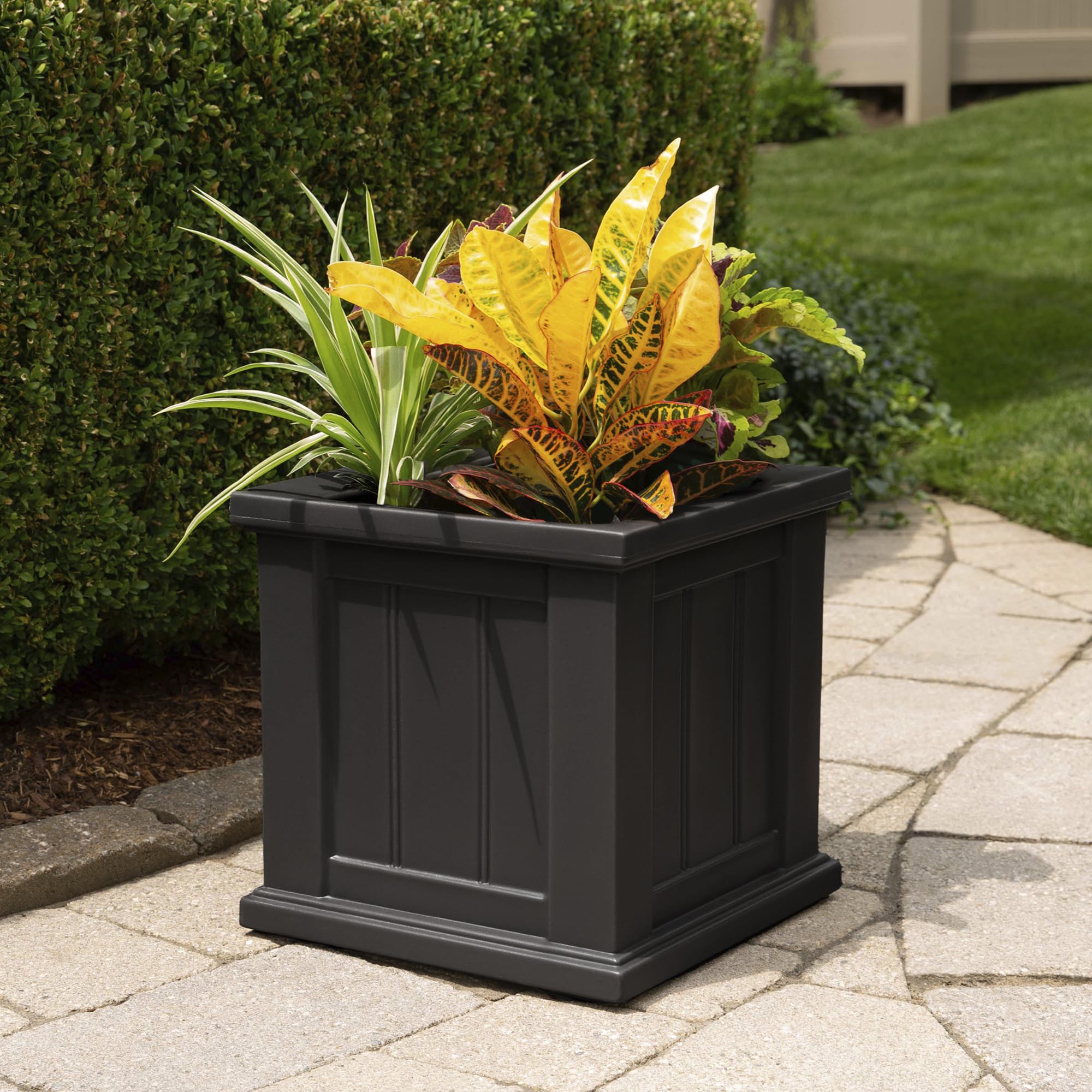 Mayne planter next to hand for size comparison showing practical scale