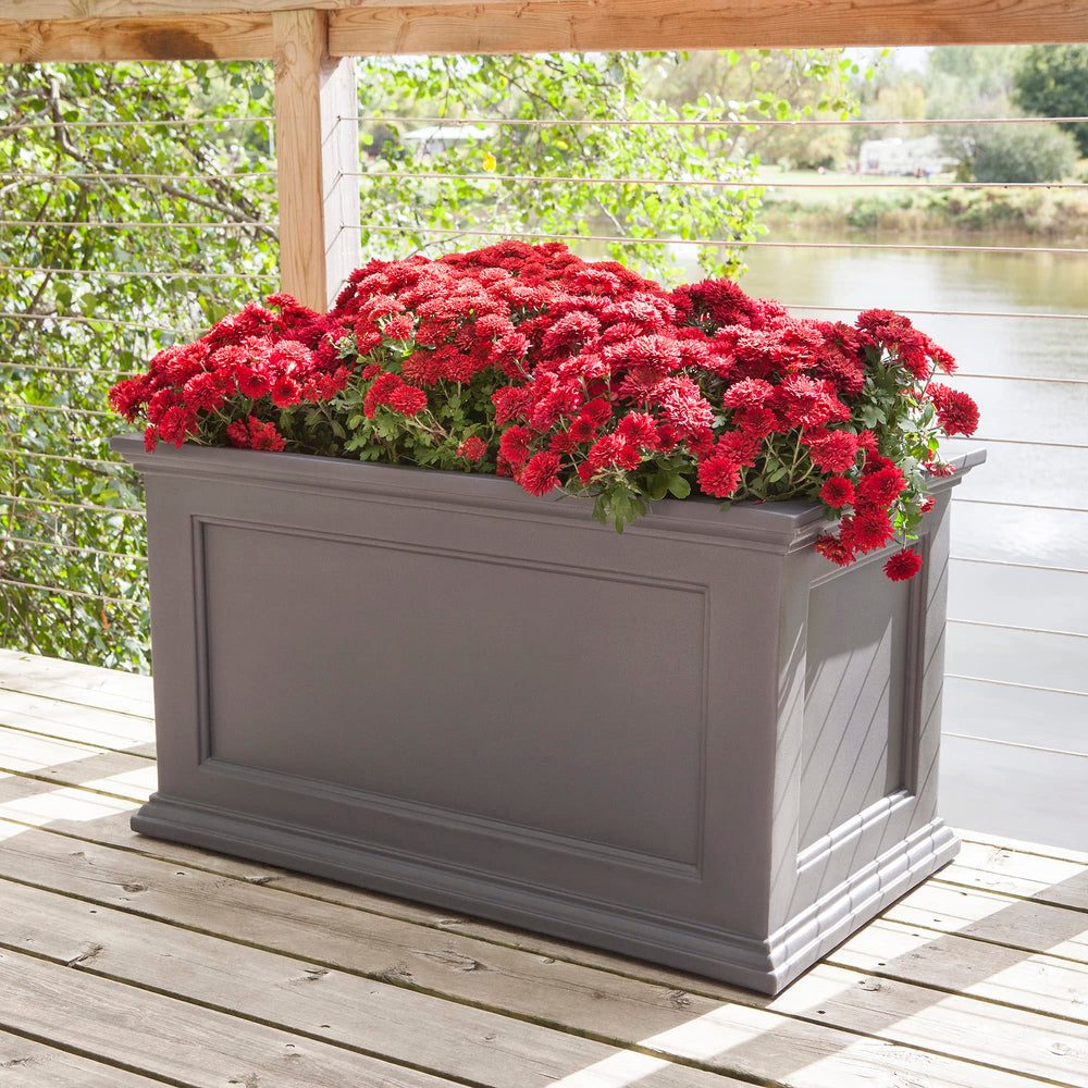 Mayne Fairfield planted on patio demonstrating low-maintenance greenery and style