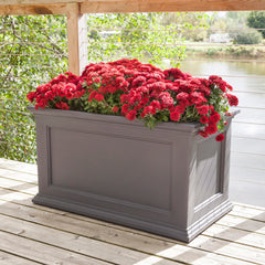 Mayne Fairfield planted on patio demonstrating low-maintenance greenery and style