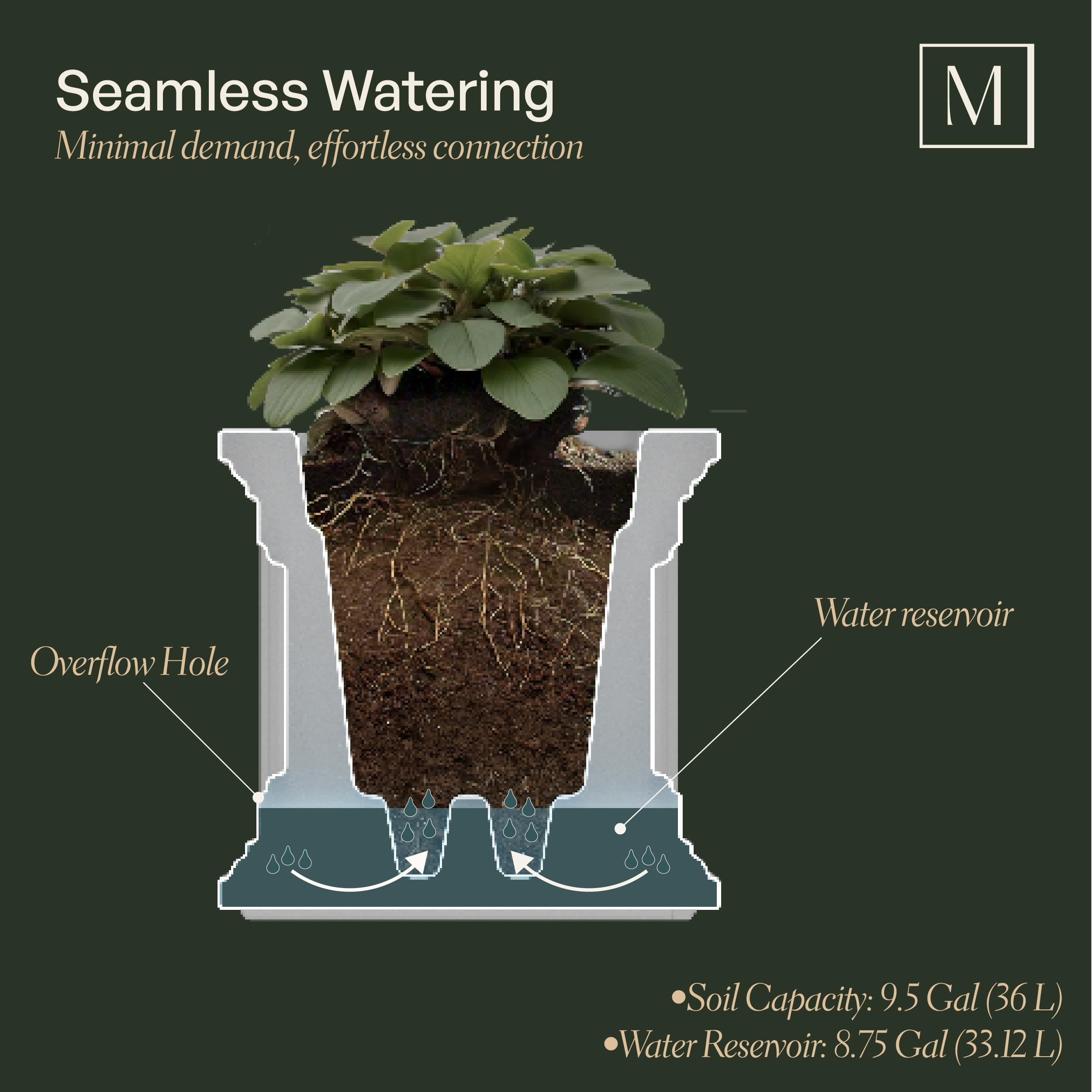 Mayne planter filled with lush plants illustrating generous root space
