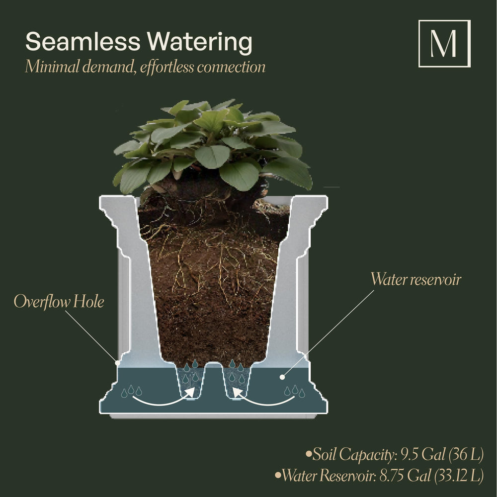 Mayne planter filled with lush plants illustrating generous root space