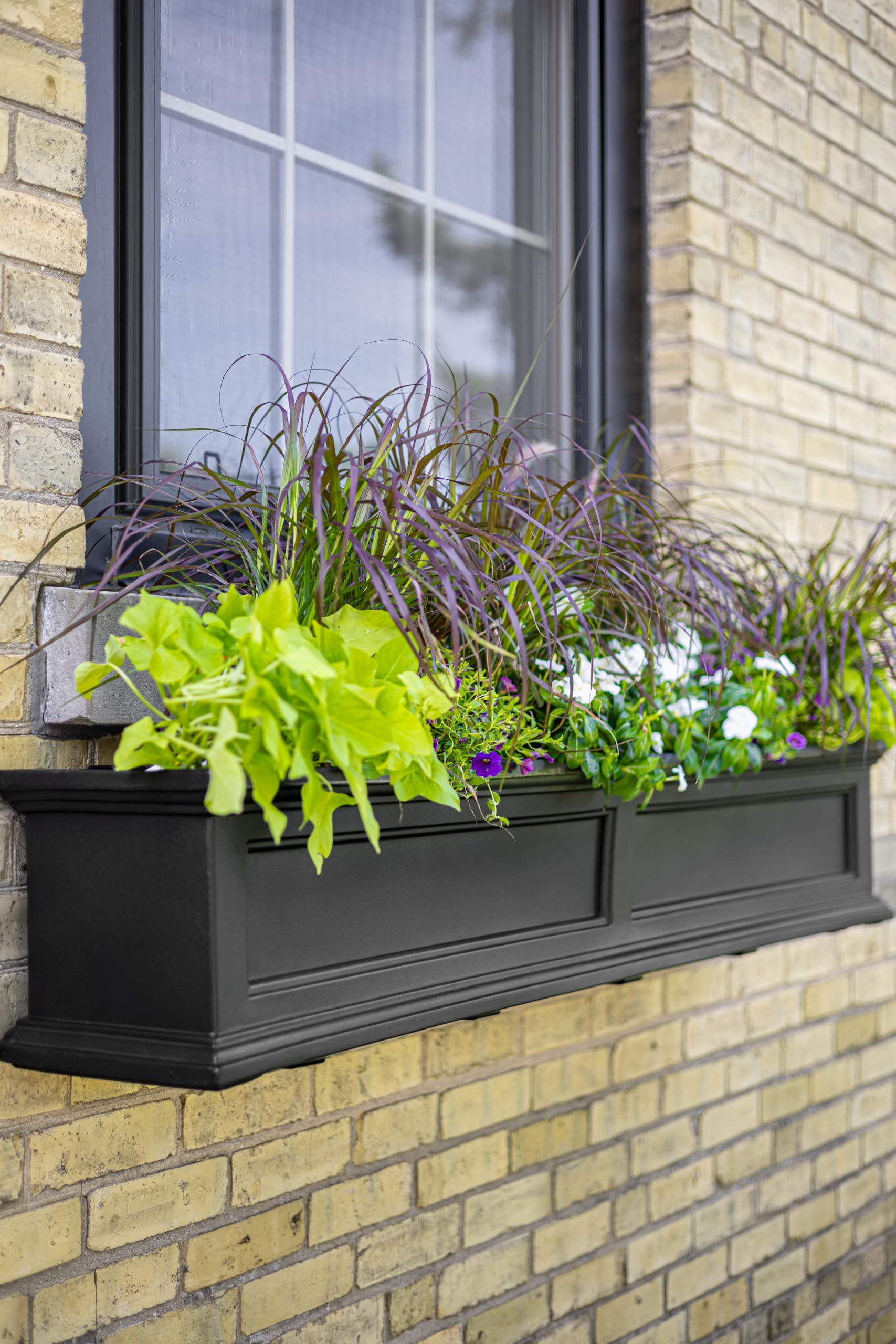 Mayne Fairfield planted with mixed flowers demonstrating lush display