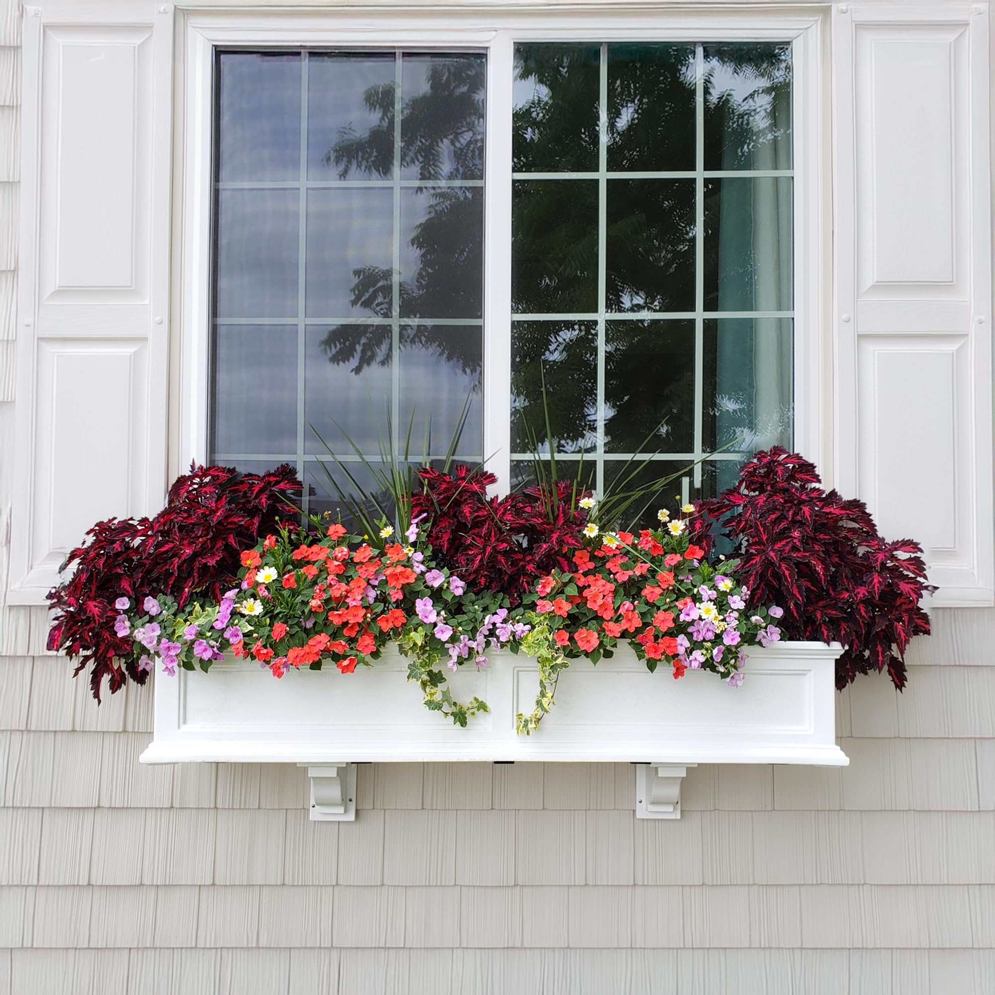 Mayne Fairfield filled with seasonal flowers for vibrant display