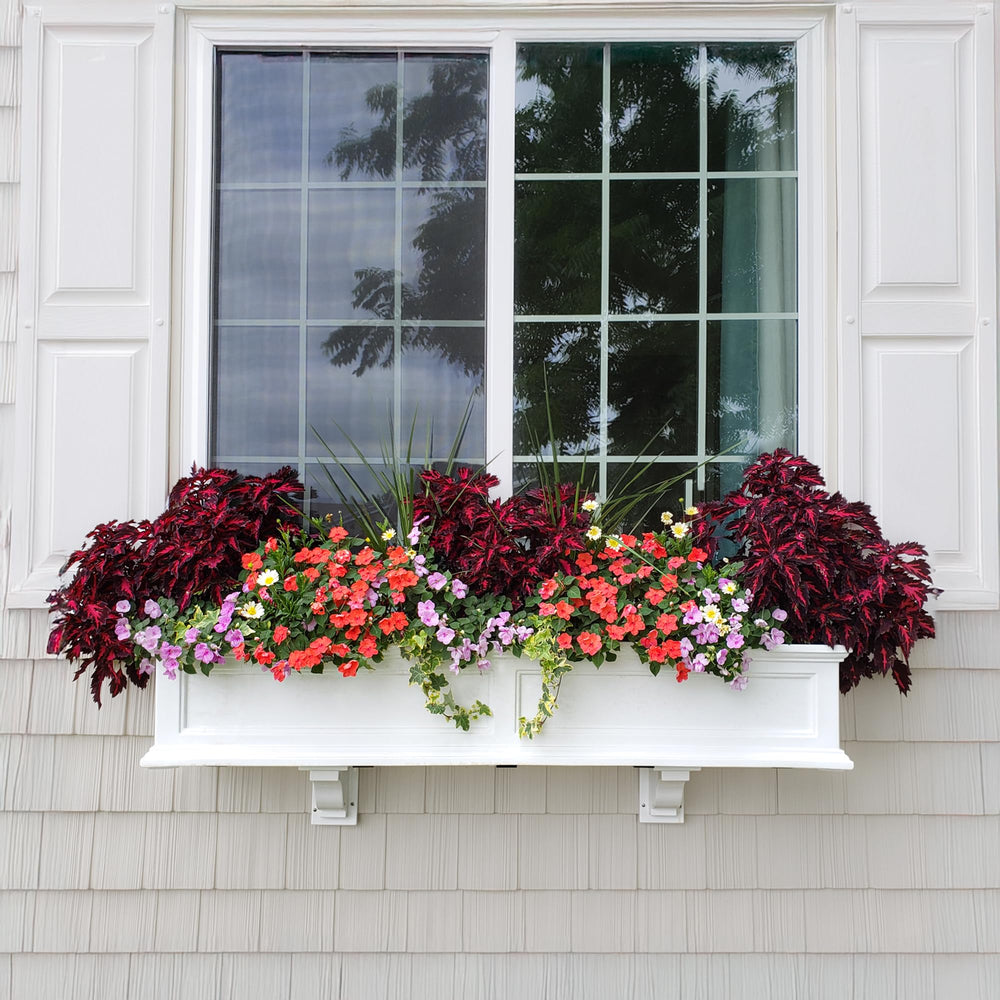 Mayne Fairfield filled with seasonal flowers for vibrant display