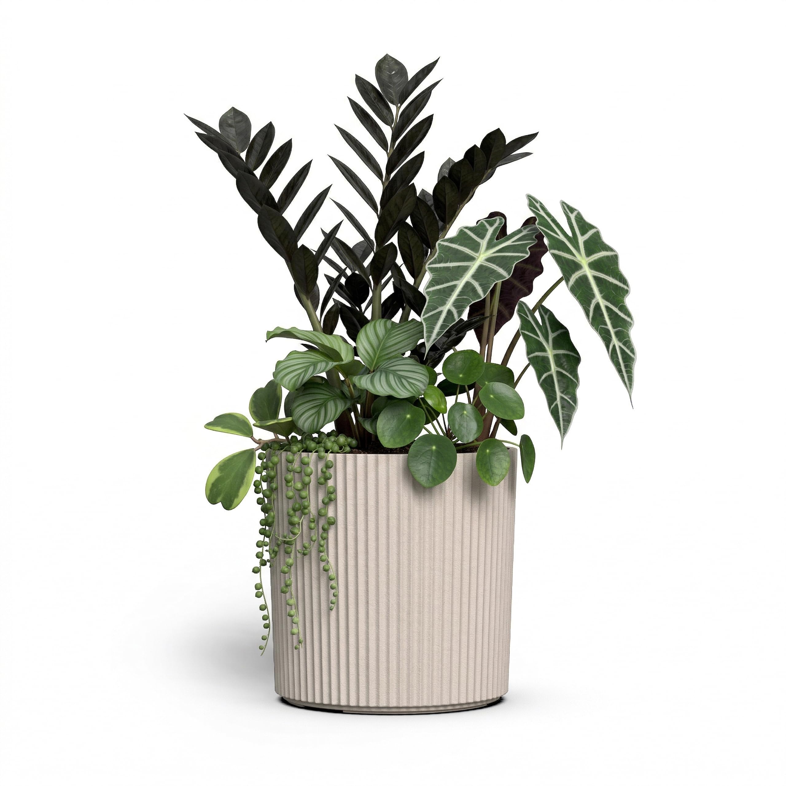 Mayne Haven front view showing modern planter and immediate curb appeal