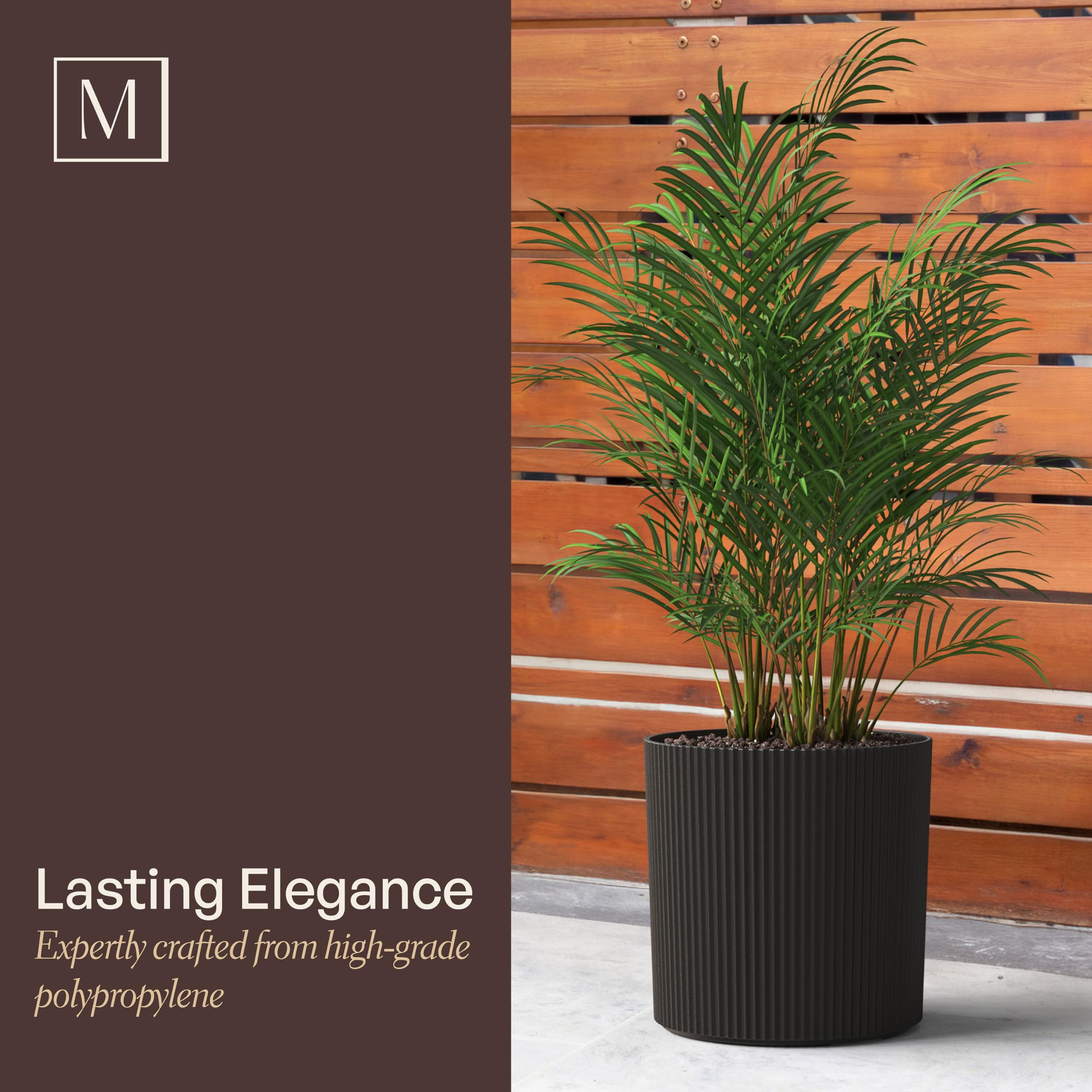 Mayne Haven planted on terrace showcasing stable display and aesthetic boost