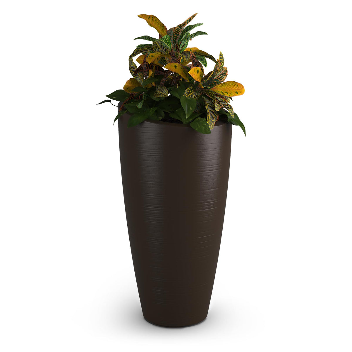 Mayne Modesto front view showing tapered silhouette and modern espresso finish for curb appeal