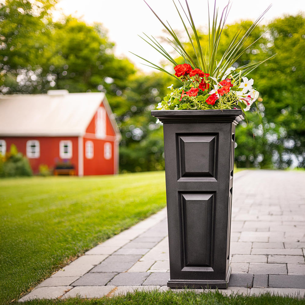 Mayne Nantucket planted in garden demonstrating year-round outdoor use