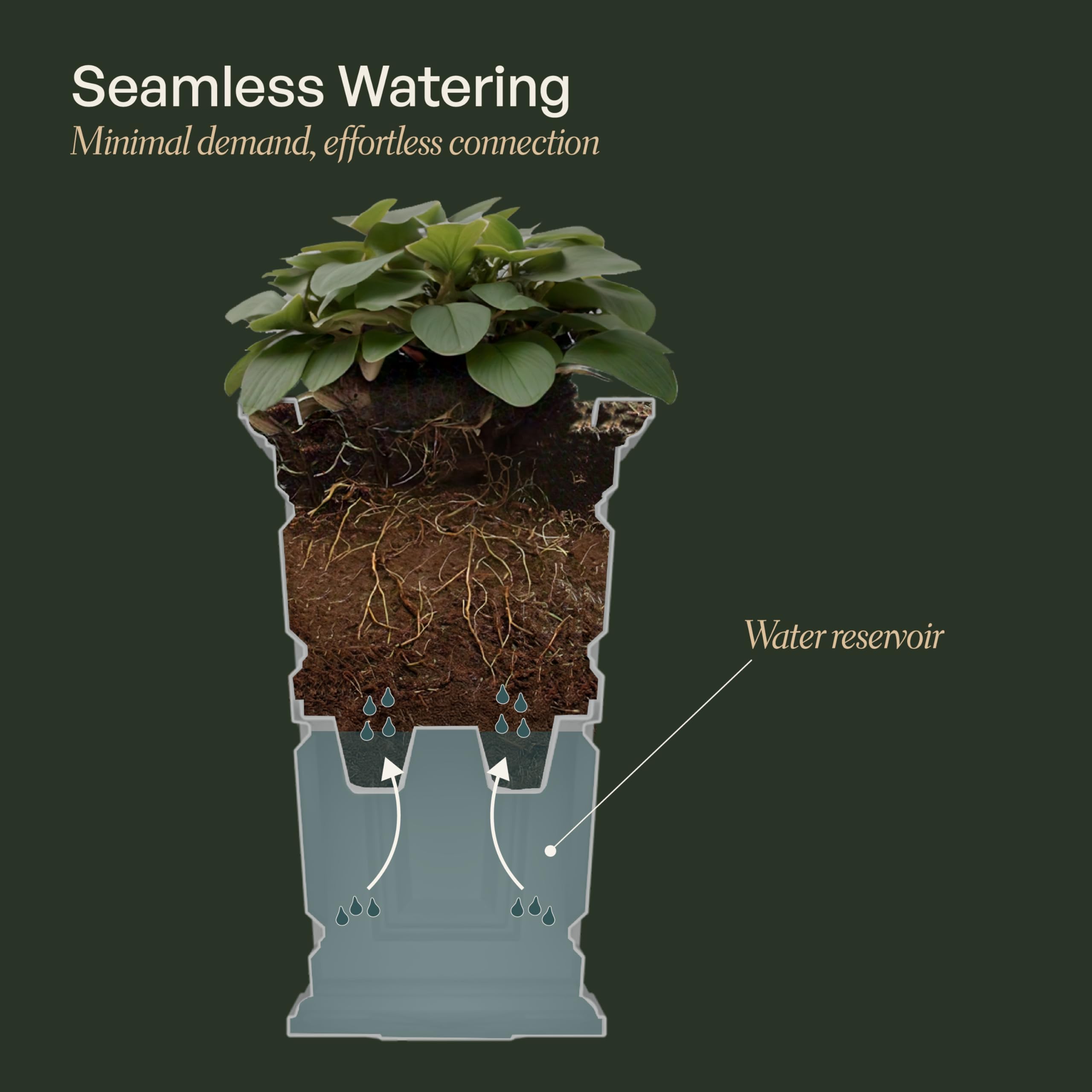Mayne Newhaven planted on porch showing lush plants and low maintenance benefit