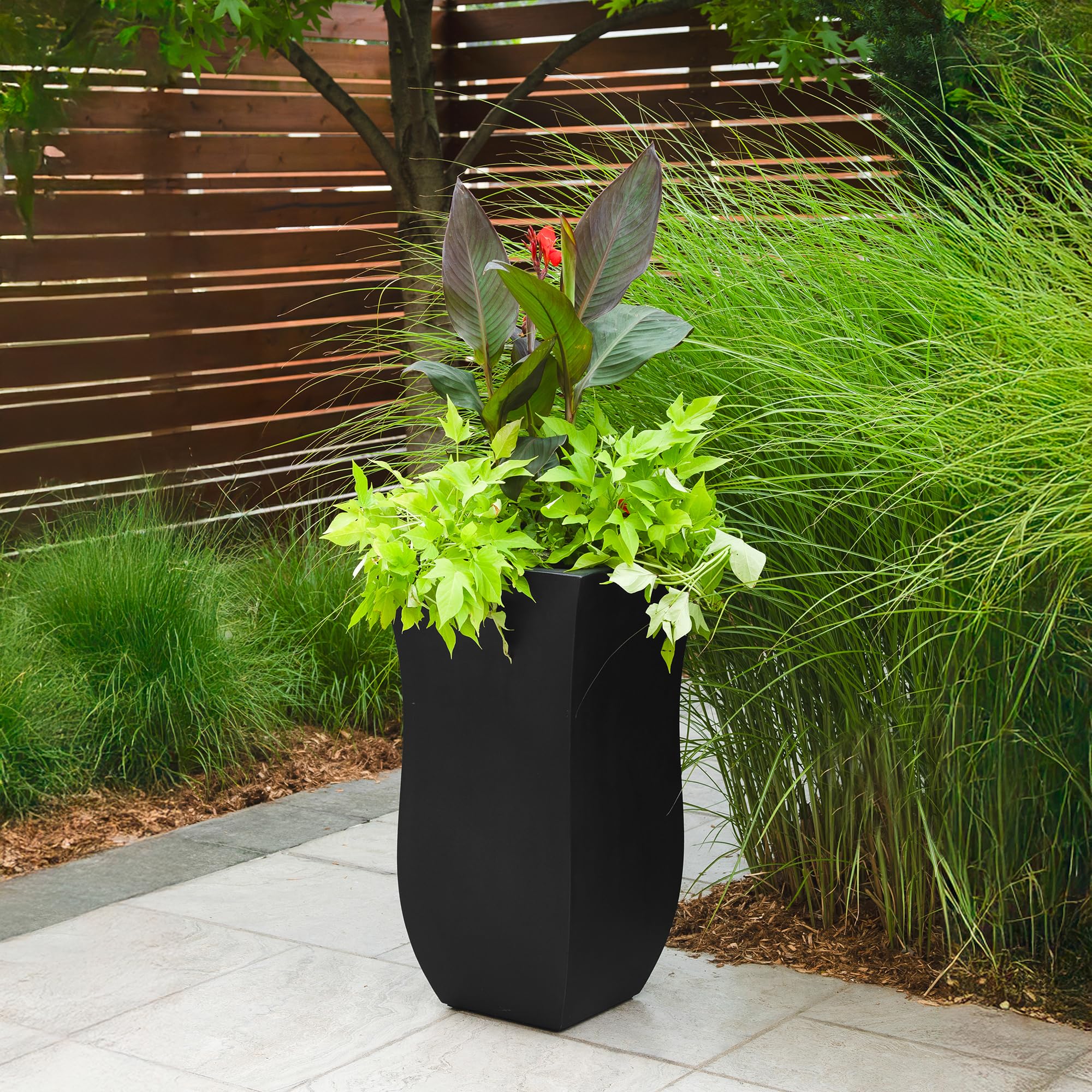 Mayne Valencia side profile showing 30-inch height for scale benefit: ideal for tall plants