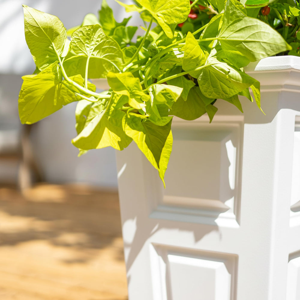 Mayne Wyndham paired planters on terrace showing cohesive styling and easy-care benefit