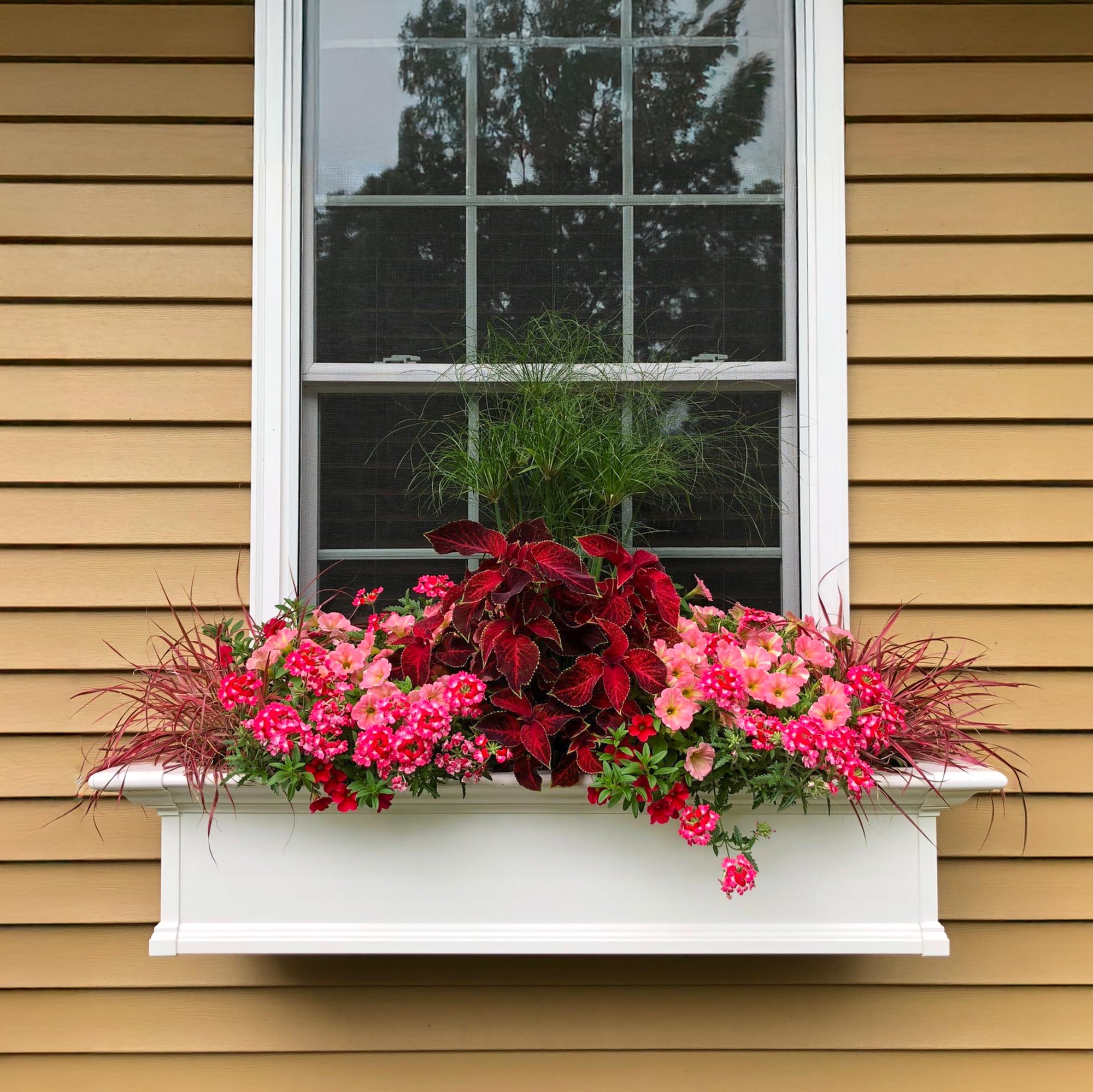 Mayne Yorkshire mounted on a windowsill with flowers showing easy, secure installation