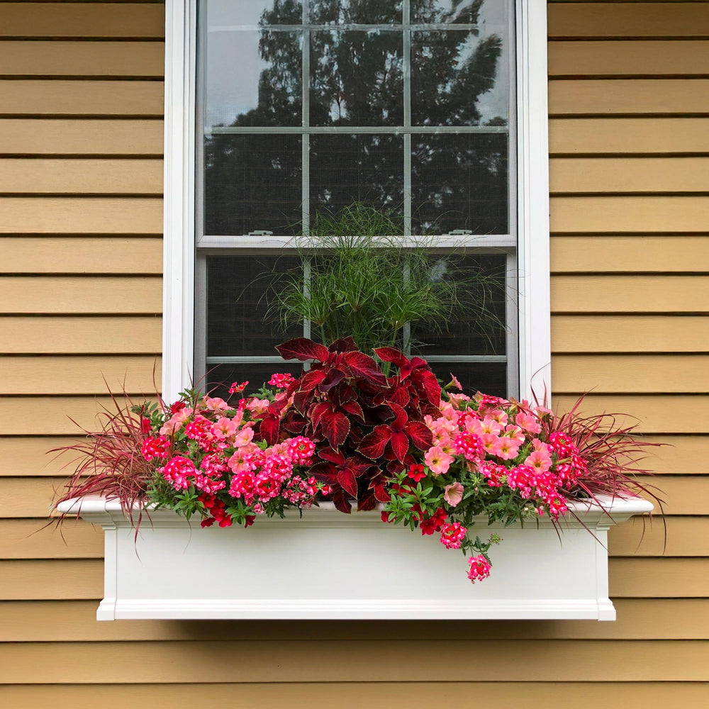 Mayne Yorkshire mounted on a windowsill with flowers showing easy, secure installation
