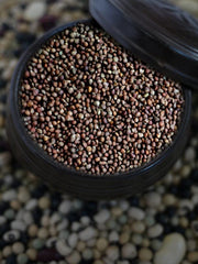 McCabe close-up of raw perilla seeds highlighting natural texture and freshness