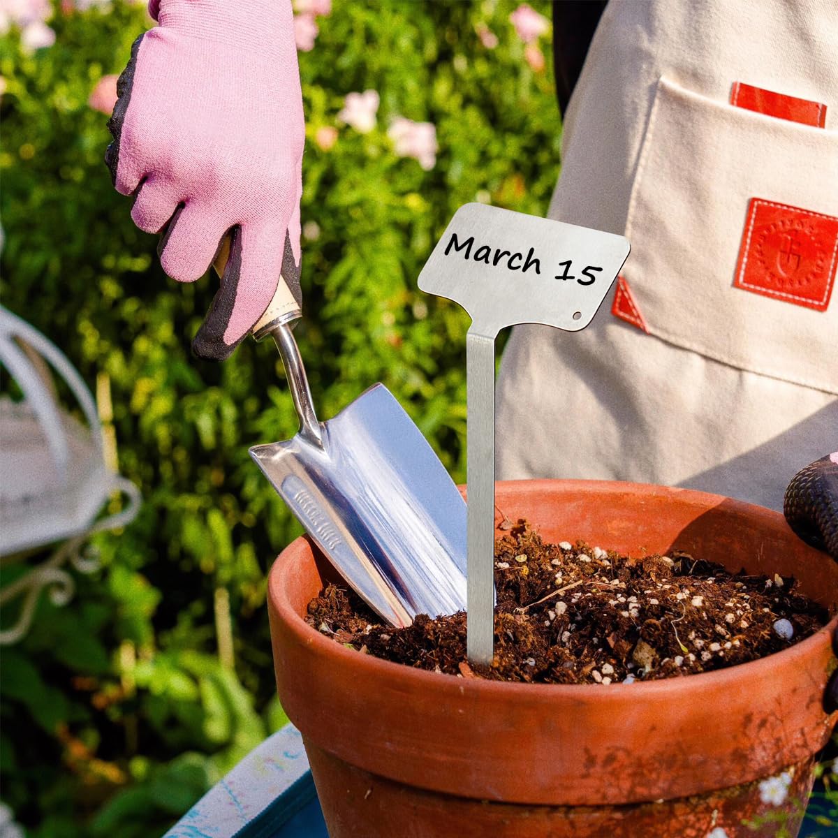 mceus in garden bed stake identifying vegetables and remaining upright in soil for clarity