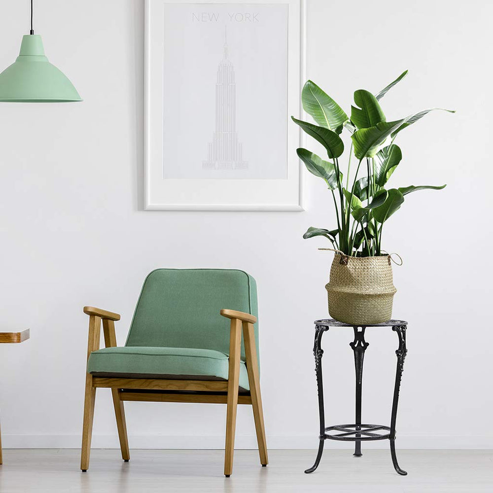 MDLUU in living room with plants showing decorative enhancement benefit