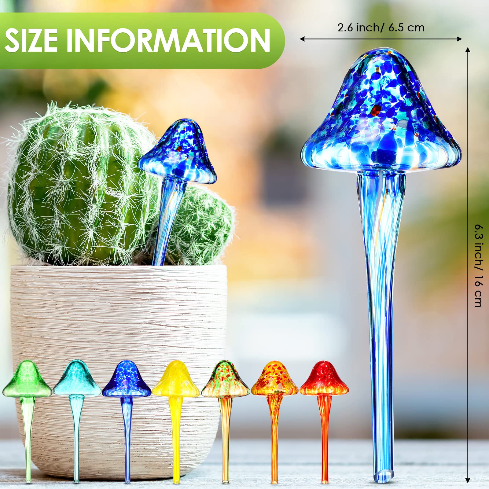 Meanplan overhead array of multicolor globes highlighting variety and easy plant hydration