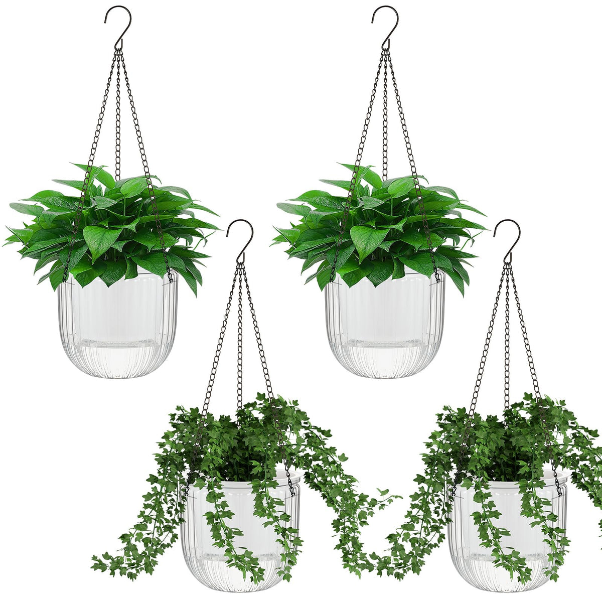 Meanplan clear hanging planter front view showing clean lines and visibility for monitoring