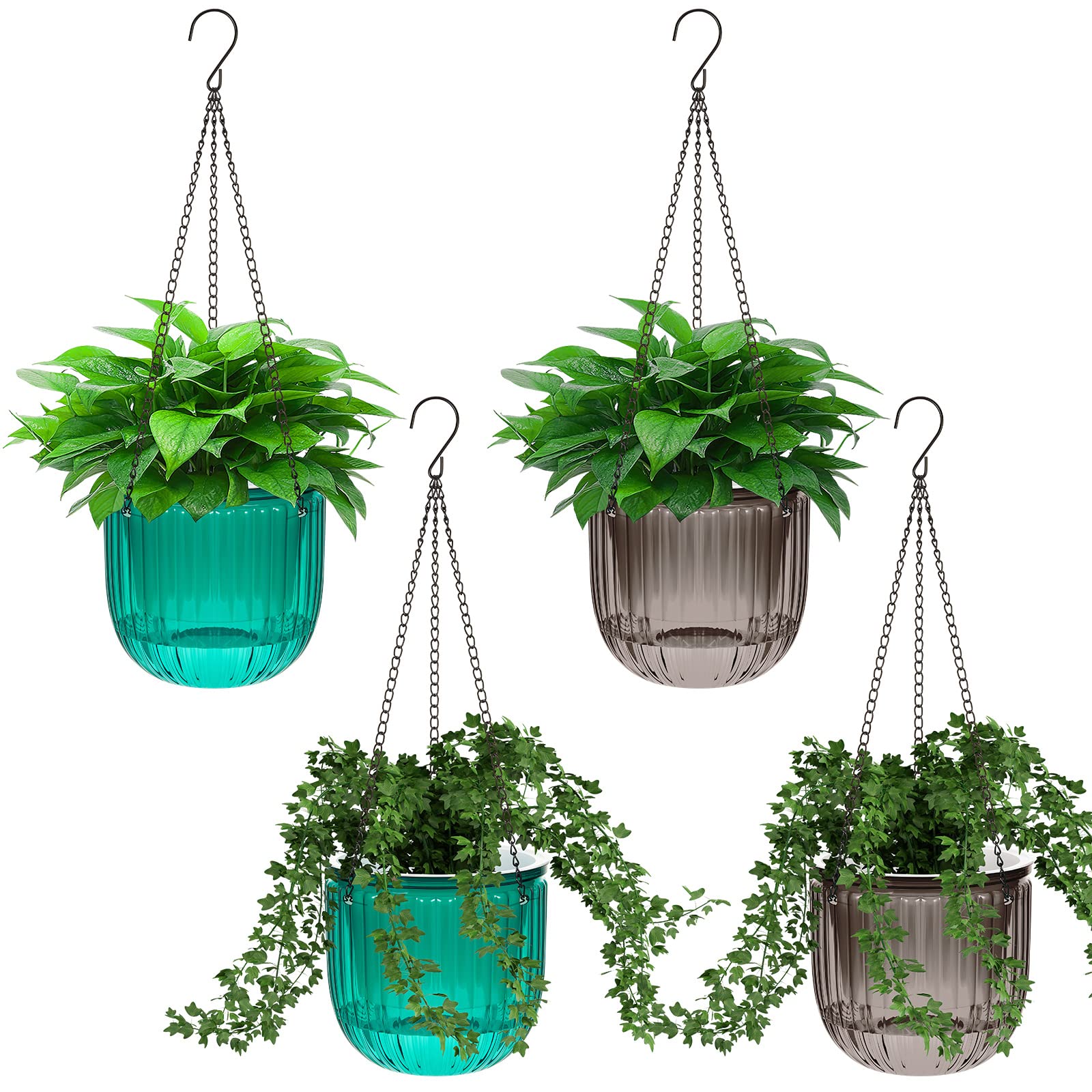 Meanplan front view of four hanging planters showing color and shape, adds decorative greenery