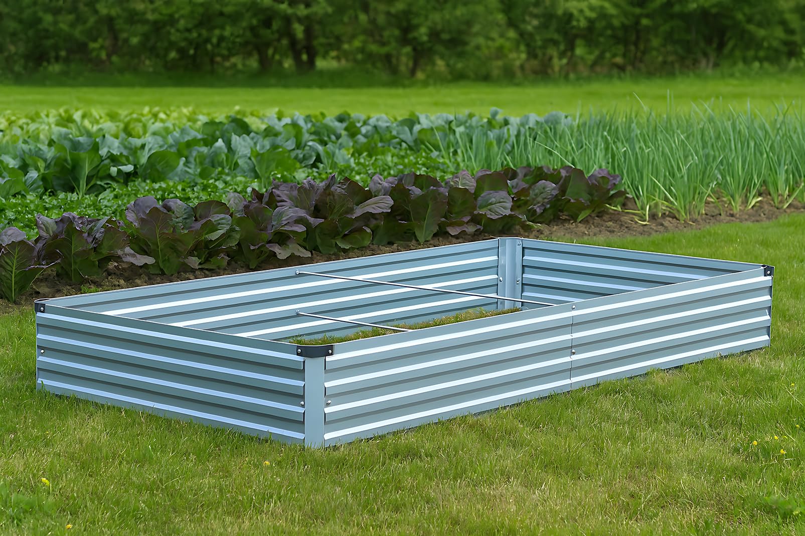 Meberam raised beds in use with vegetables illustrating good drainage and healthy growth