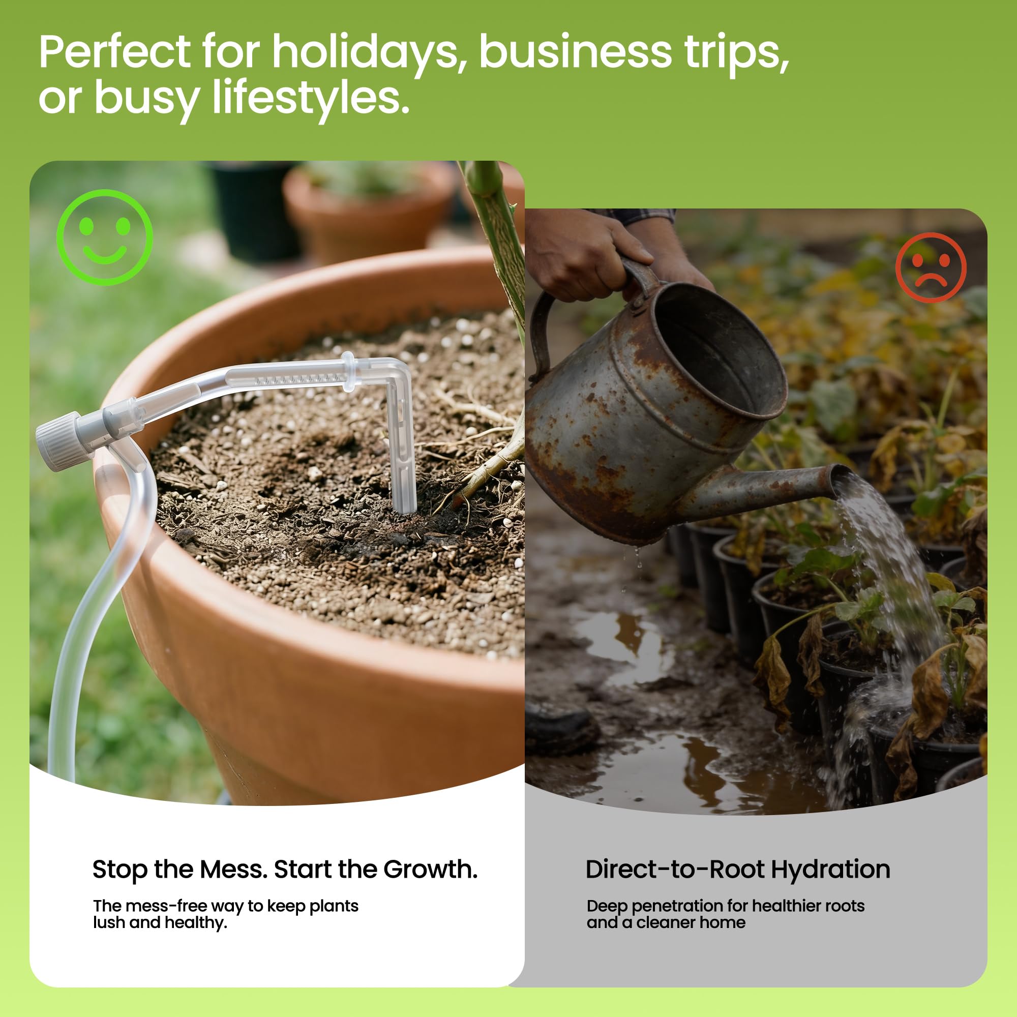 Mecanto filter and anti-siphon detail protecting system from clogs and backflow
