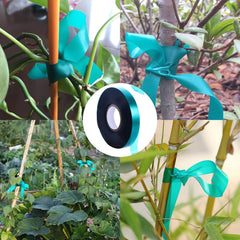 Medoore tape wrapped around stem providing gentle support without damage