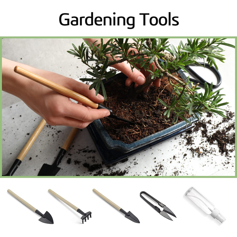 Meekear bonsai kit displayed on a desk offering a calming decor hobby