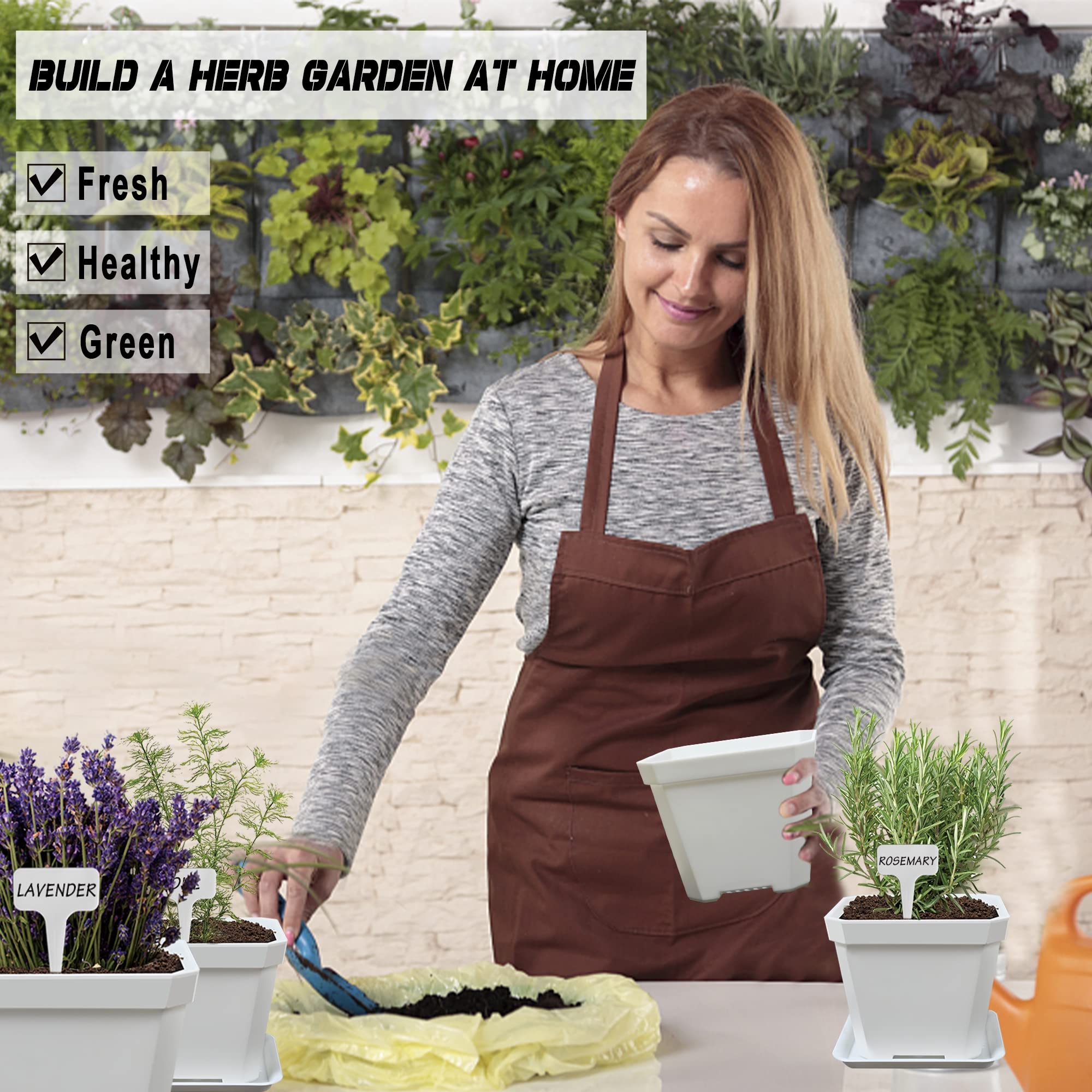 Meekear indoor herb pots on a sunny windowsill adding fresh ingredients and décor