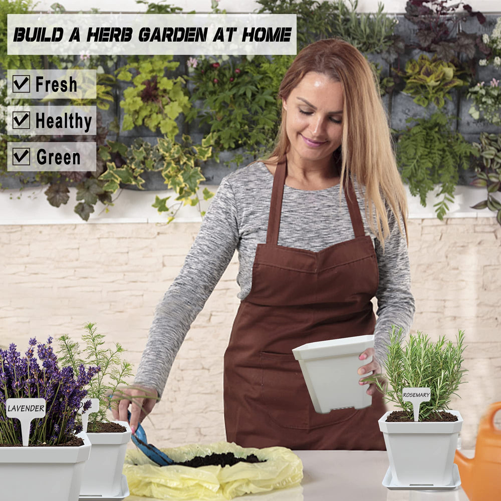Meekear indoor herb pots on a sunny windowsill adding fresh ingredients and décor