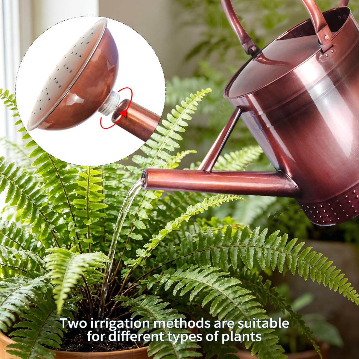 Megawodar angled spout removed showing removable head for precise or shower watering