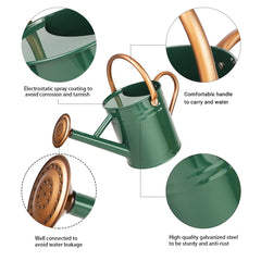 Megawodar close-up of removable spout showing easy swap and precise watering