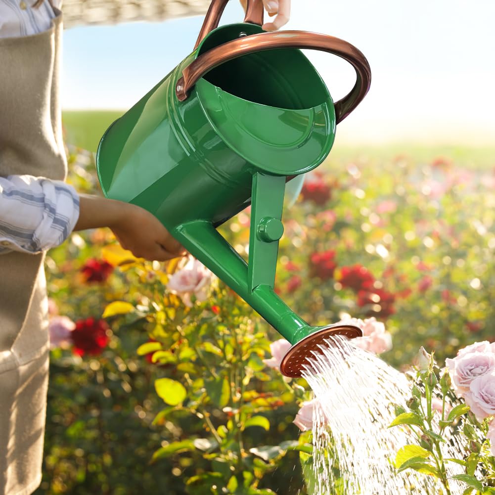 Megawodar can held by hands to show 1-gallon capacity and comfortable balance