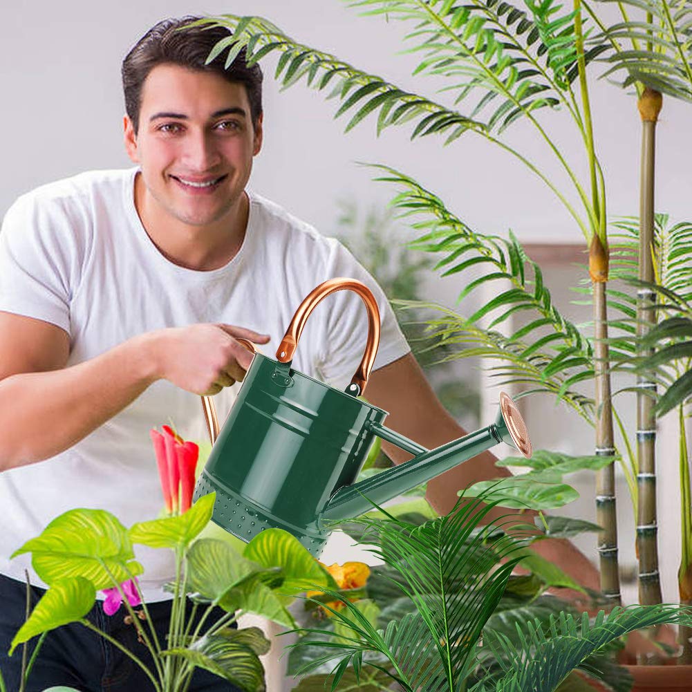 Megawodar watering indoor plants with gentle spray benefit