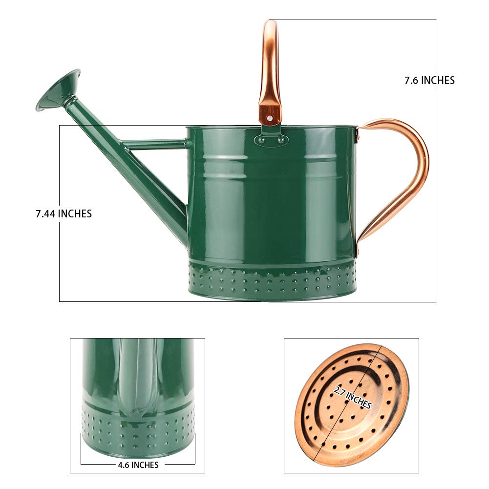 Megawodar on garden shelf as attractive functional decor