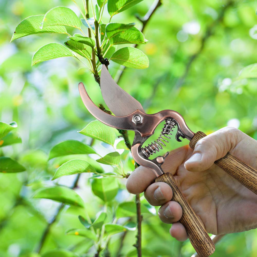 Megawodar bypass pruning shear closeup demonstrating precise cutting performance